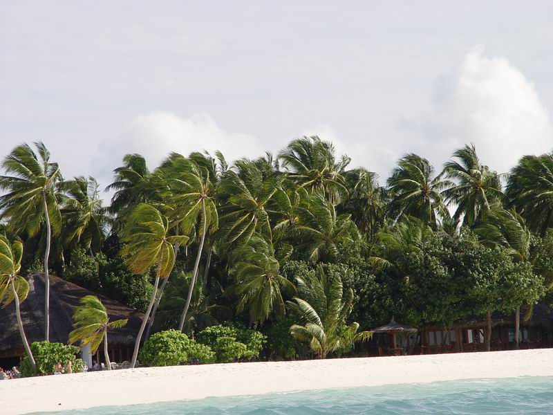 maldives224.jpg