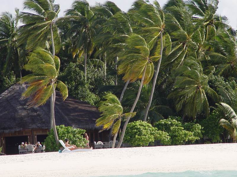 maldives230.jpg