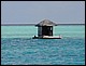maldives142.jpg