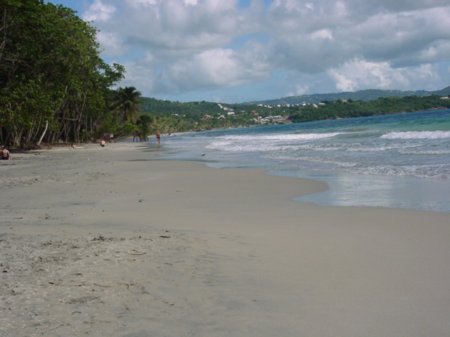 martinique007.jpg