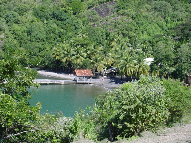 martinique016.jpg