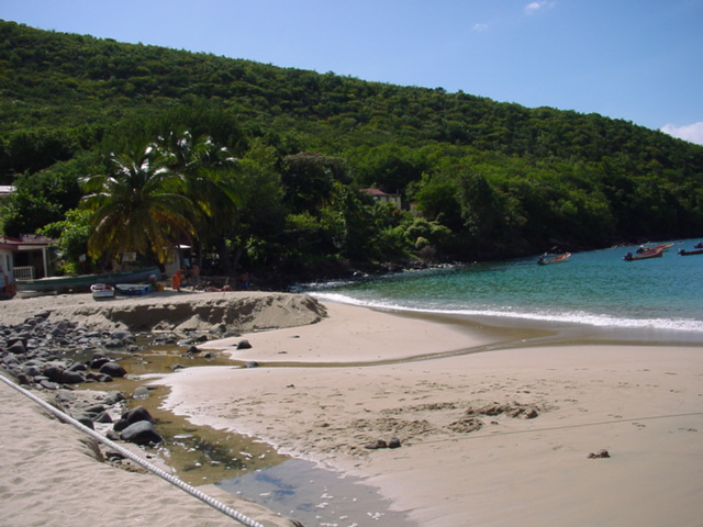 martinique017.jpg