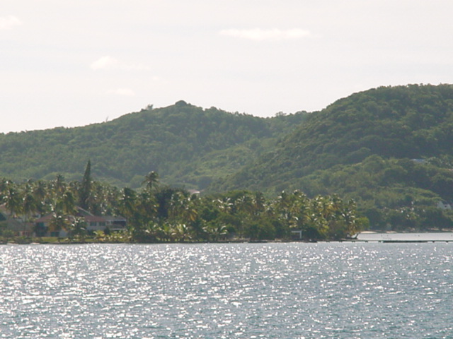 martinique023.jpg