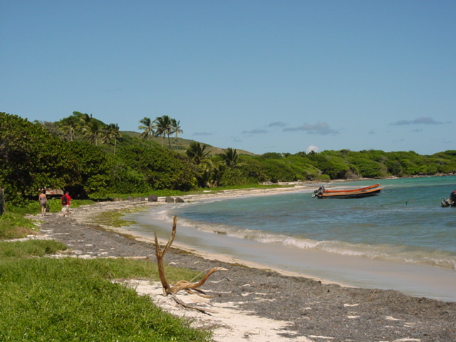 martinique030.jpg