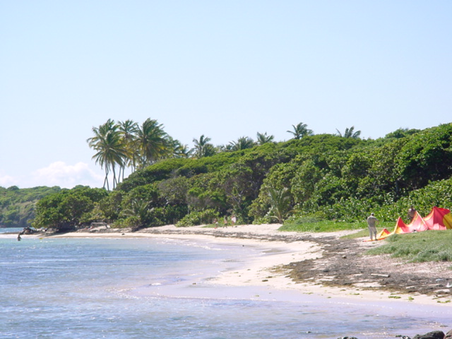 martinique032.jpg