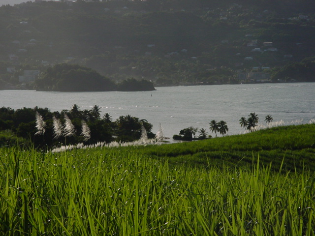 martinique038.jpg