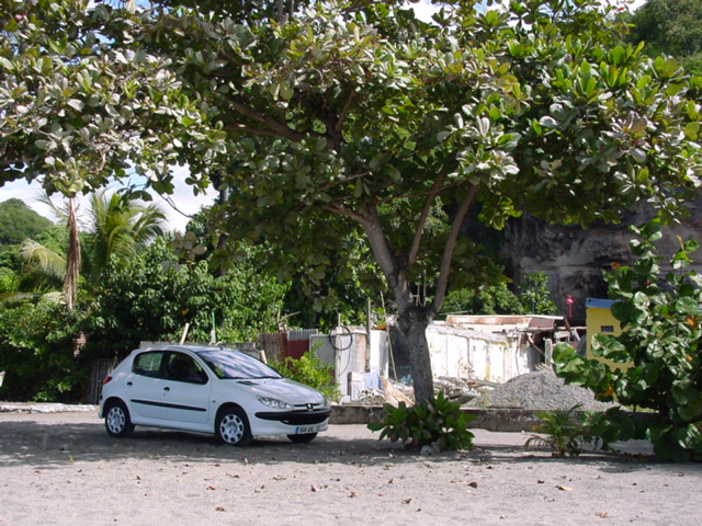 martinique047.jpg