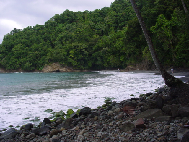 martinique057.jpg