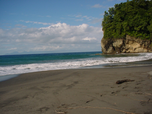 martinique064.jpg