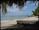 martinique003.jpg