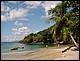 martinique018.jpg