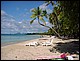 martinique024.jpg