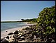 martinique031.jpg