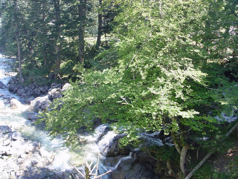 photo099_midi_pyrennees_pont_d_espagne.jpg