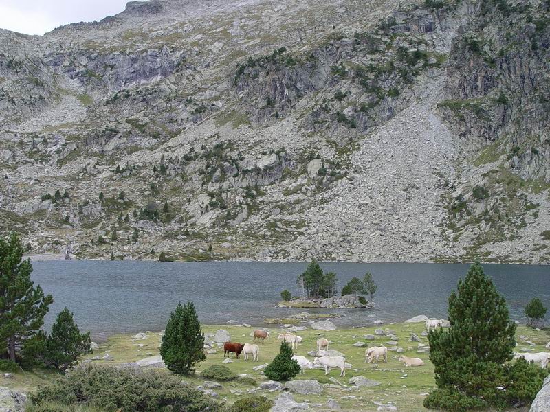 photo206_midi_pyrennees_massif_de_neouvielle.jpg