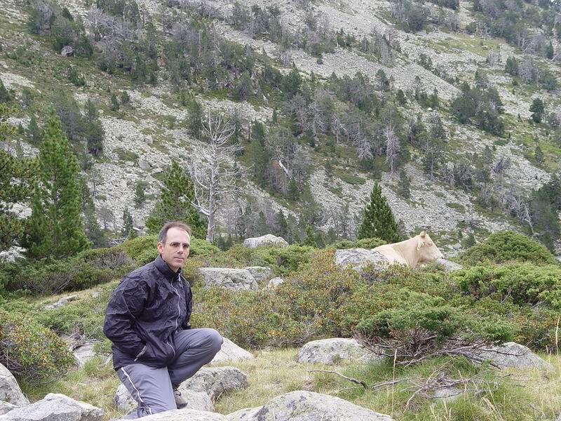 photo214_midi_pyrennees_massif_de_neouvielle.jpg