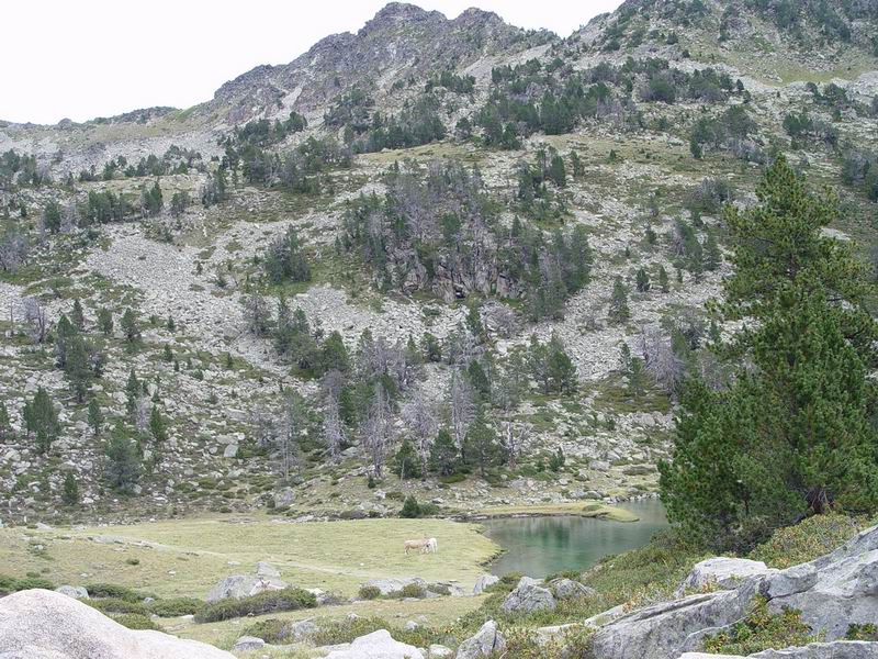 photo216_midi_pyrennees_massif_de_neouvielle.jpg