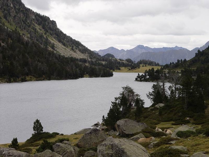 photo218_midi_pyrennees_massif_de_neouvielle.jpg