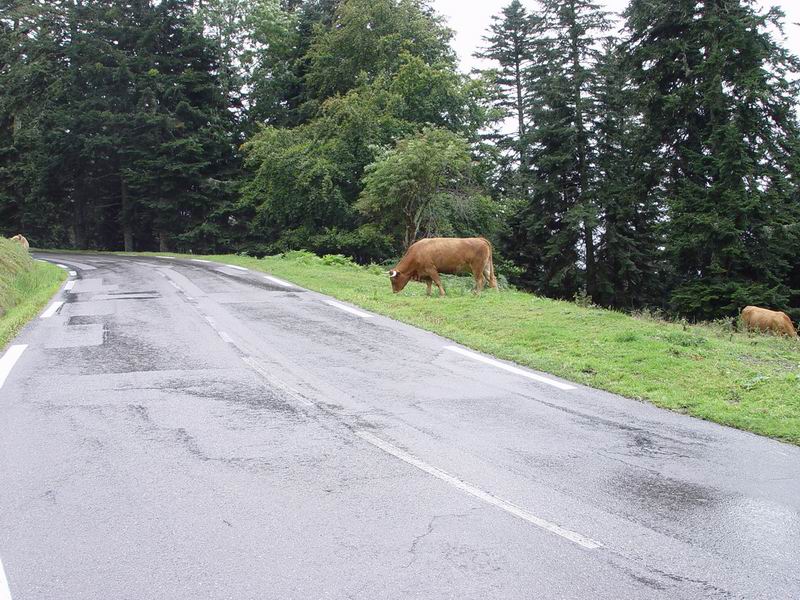 photo225_midi_pyrennees_pres_du_col_d_aspin.jpg