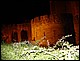photo002_midi_pyrennees_carcassonne.jpg