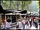 photo070_midi_pyrennees_lourdes.jpg