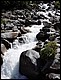 photo091_midi_pyrennees_pont_d_espagne.jpg