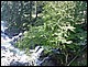 photo099_midi_pyrennees_pont_d_espagne.jpg