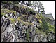 photo203_midi_pyrennees_massif_de_neouvielle.jpg