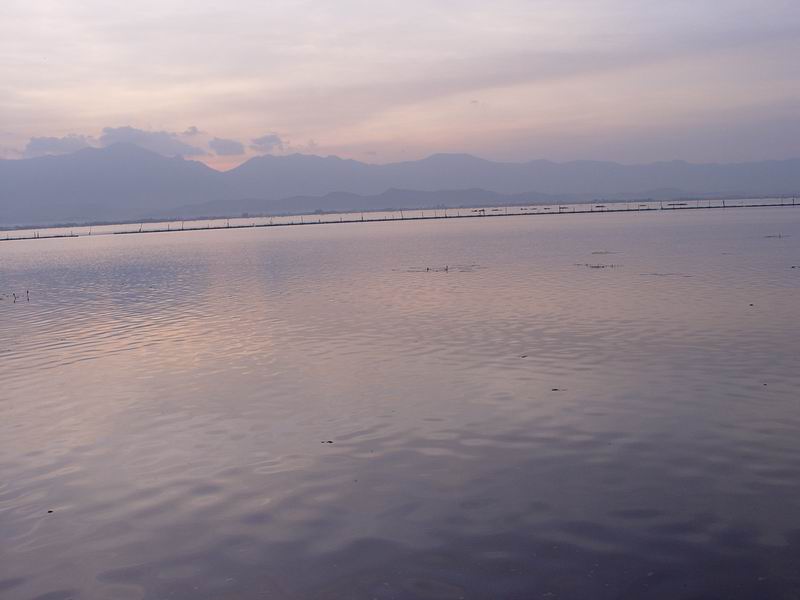 thailande202.jpg