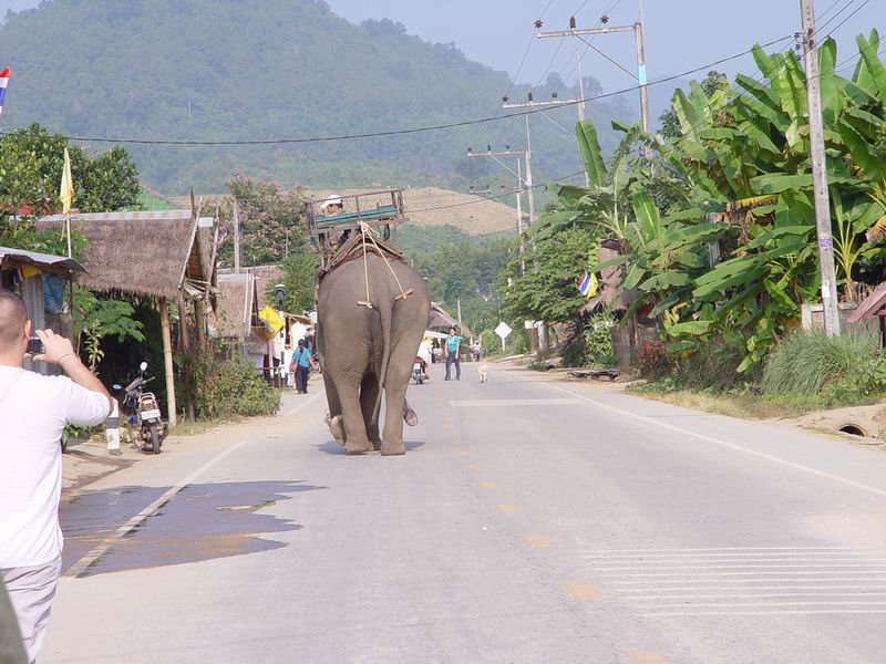 thailande233.jpg