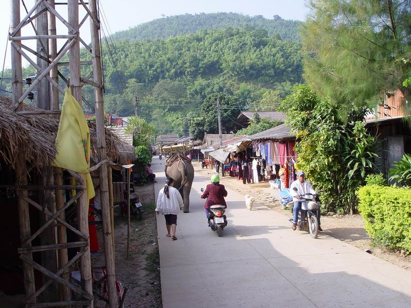 thailande237.jpg