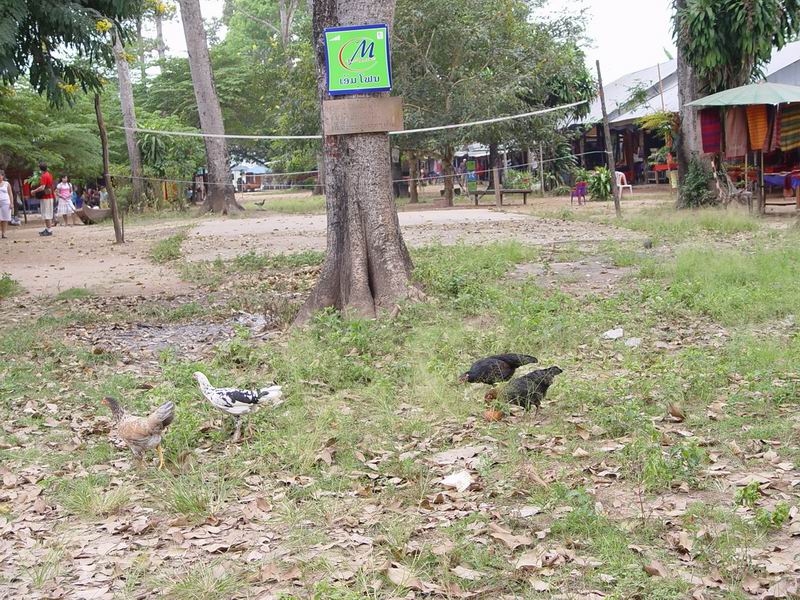 thailande307.jpg