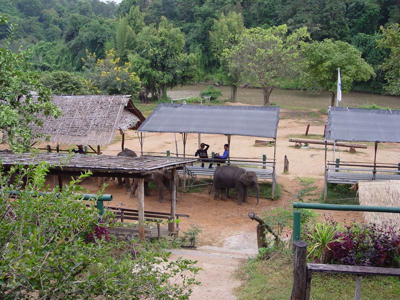 thailande392.jpg