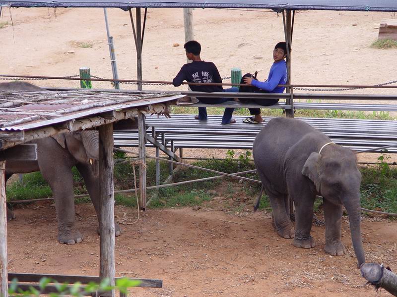 thailande393.jpg