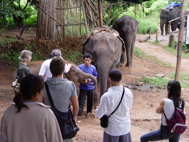 thailande394.jpg
