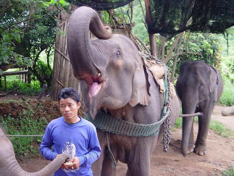 thailande395.jpg