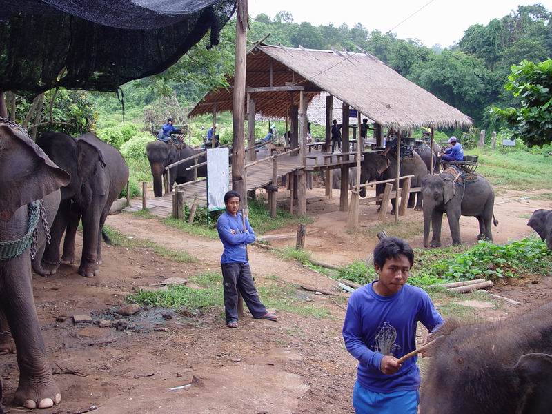 thailande398.jpg
