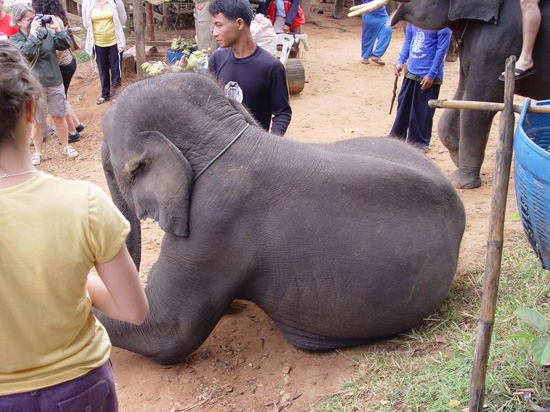 thailande401.jpg