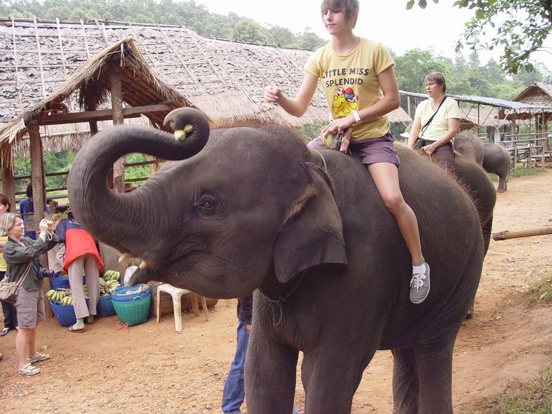 thailande402.jpg