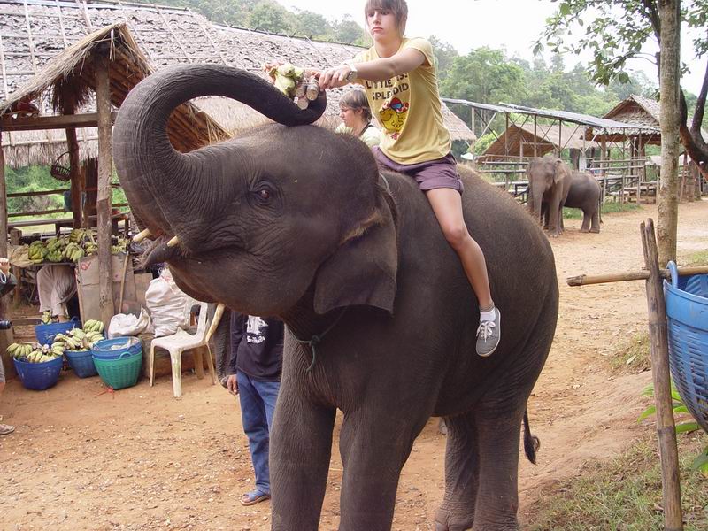 thailande403.jpg