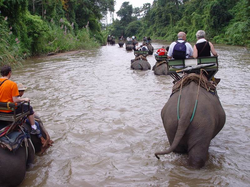 thailande410.jpg