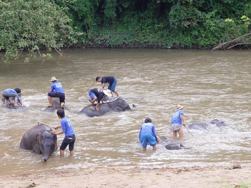 thailande429.jpg