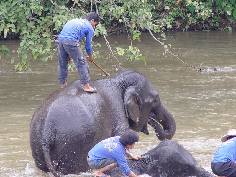 thailande432.jpg