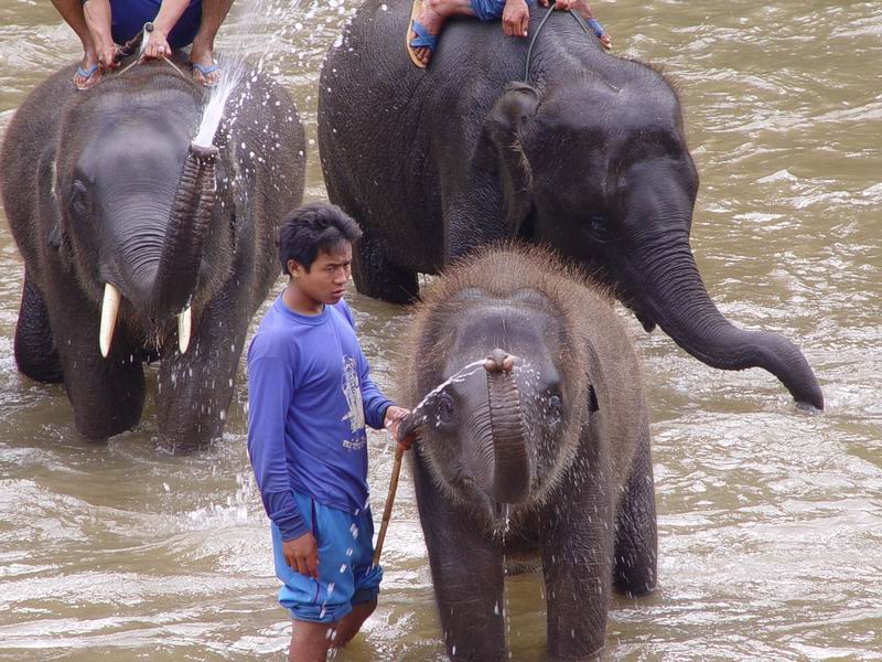 thailande433.jpg