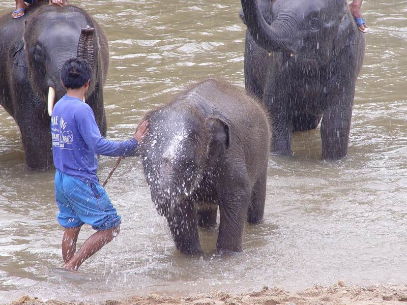 thailande434.jpg