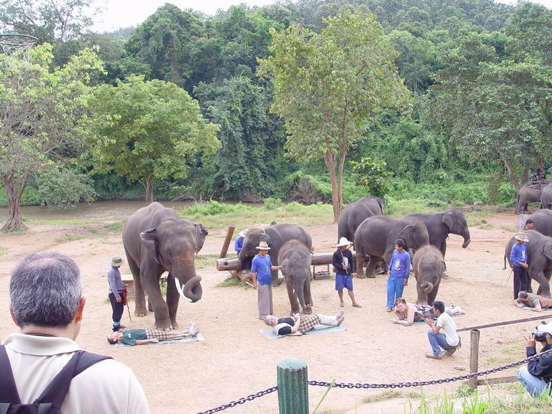 thailande436.jpg