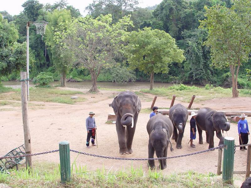 thailande438.jpg