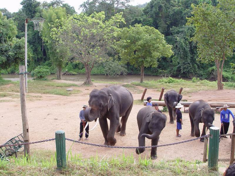 thailande439.jpg