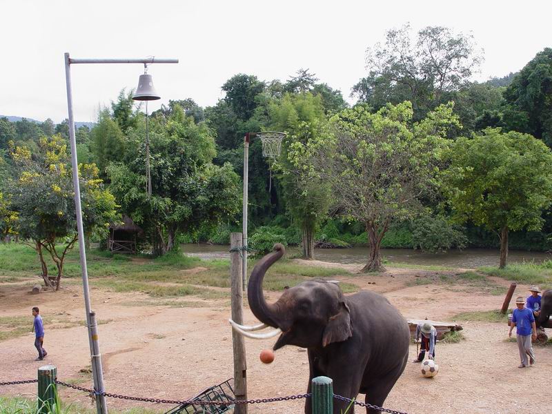 thailande444.jpg