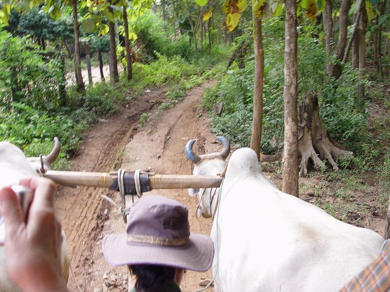 thailande450.jpg
